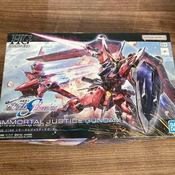 EOF-606 HG 1/144 임모탈 저스티스 건담 STTS-808