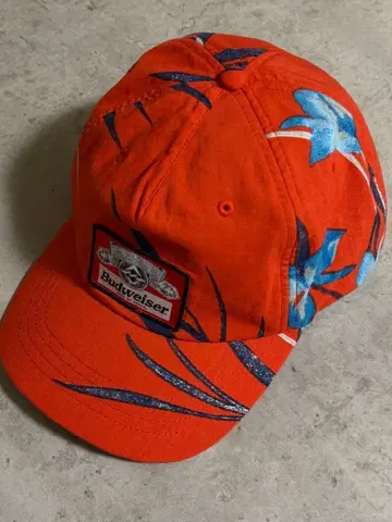 Budweiser Billabong 버드와이저 빌라봉 캡