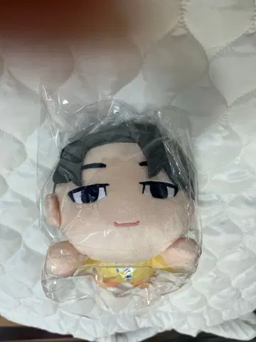 세븐틴 원우 봉제 인형 마스코트 SEGA