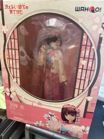 카토 메구미 벚꽃 기모노 피규어 ANIPLEX