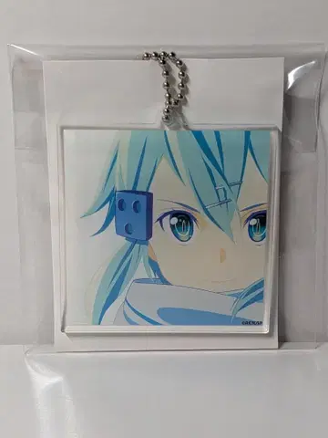 소드 아트 온라인 SAO 풀다이브 CD 아크릴 참 시논