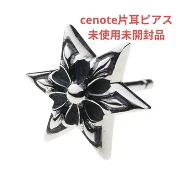 세노테 6포인트 스타 귀걸이 실버925 실버 액세서리 e0334