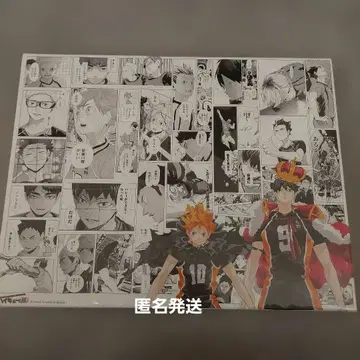 하이큐 하이큐전 한정판 아트 보드 카게야마 토비오 히나타 쇼요