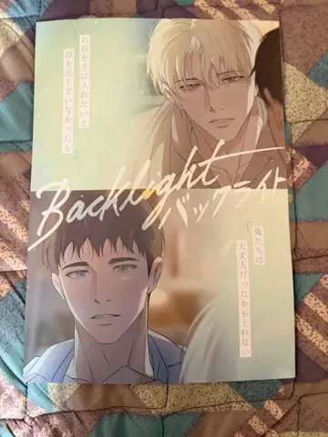 백라이트 백라이트 전단지 플라이어 한국 BL J정원