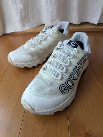 머렐 27.5 J036387 MOAB SPEED GORE-TEX