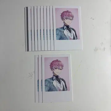 standard 폴라로이드 묶음 판매 츠키노 레오