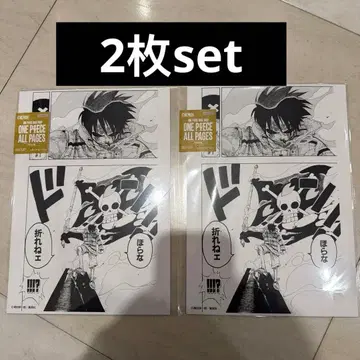 원피스 올 페이지스 보라나 부러지지 않아 2장 세트