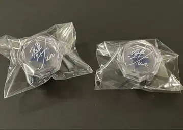 앙스타 사자나미 쥰 린라이