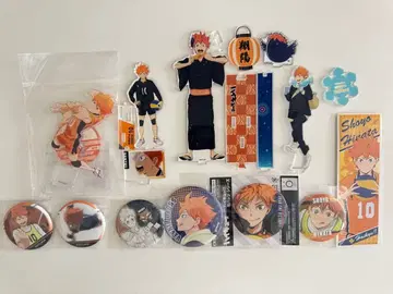 하이큐!! 히나타 쇼요 아크릴 스탠드 캔뱃지