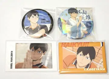 하이큐 캔뱃지 카드 카게야마