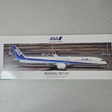 ANA 보잉 787-10 모델 JA981A