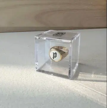 츠네타 다이키 POINTLESS JOURNEY 토이링 P 화이트