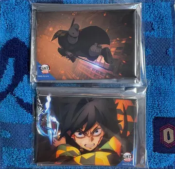 귀멸의 칼날 토미오카 기유 전방위 컬렉션 캔뱃지