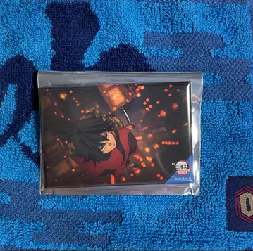 귀멸의 칼날 토미오카 기유 전방위 컬렉션 캔뱃지