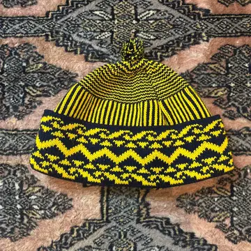 파키스탄 비니 '미시간'