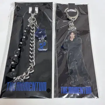 NCT 127 momentum 해찬 아크릴 키링 스트랩