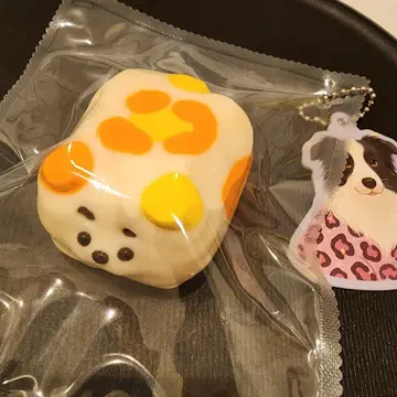 점점 쿵쿵 스퀴즈 강아지 멍멍이