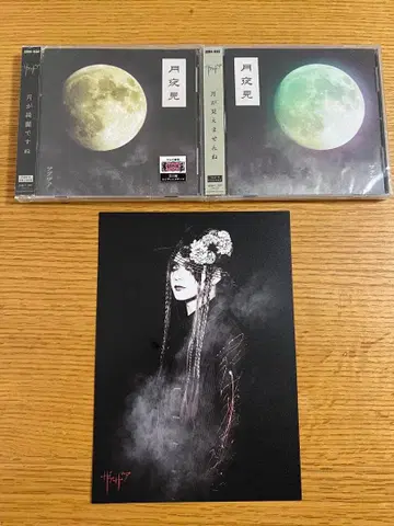 자아자아 CD 월야견 1