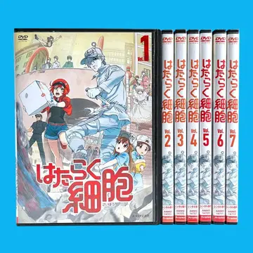 새상품 케이스 DVD [일하는 세포] 1기 전7권 전권 세트