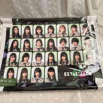 [ 새상품 미개봉 ] 케야키자카46 복권 A3 태피스트리상 업vers.