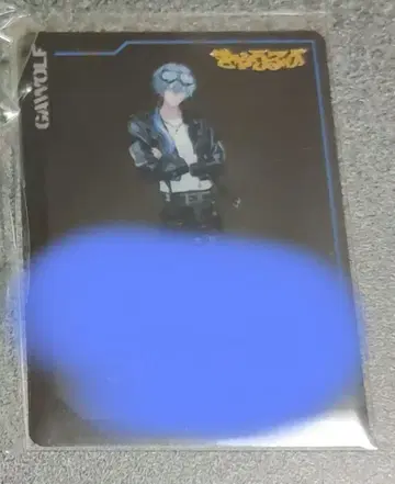 코야나기 로우 카드 팔찌 폴라로이드