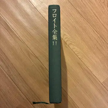 프로이트 전집 11 다빈치의 추억 슈레버