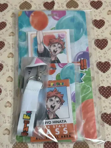 하이큐 티켓 홀더 카드 홀더