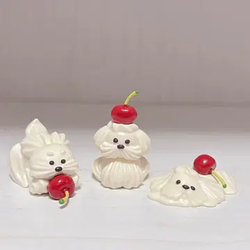 휘핑 강아지의 생활