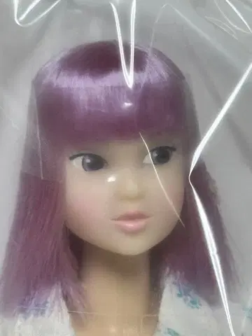 모두 함께 만드는 momoko 인형 2018