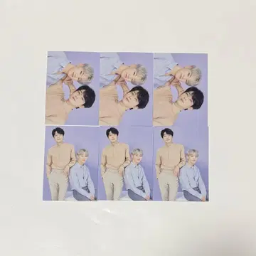 SEVENTEEN 세븐틴 세부치 원우 호시 SVT 돔 케미 트레이딩 카드