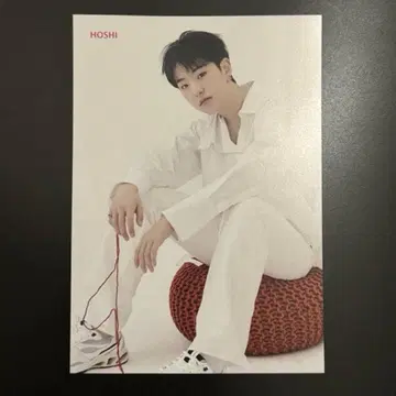 SEVENTEEN 호시 24H 플라이어 전단지