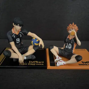 하이큐!! 테노히라 피규어 히나타 쇼요