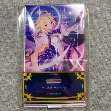 FGO 최종 재림전 아크릴 스탠드 아크스타 아키타입 어스