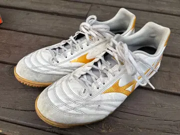 미즈노 모나르시다 네오 풋살화 트레이닝화 프로