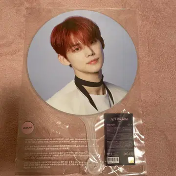 TOMORROW X TOGETHER 영준 ACT PROMISE 부채