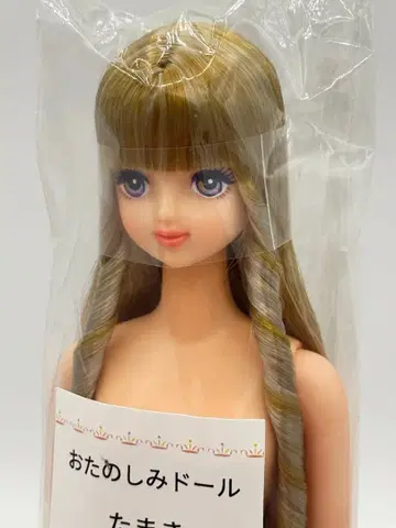 타마키 리카짱 캐슬 오타노시미 인형 은색 금발 계열 제니 프렌드