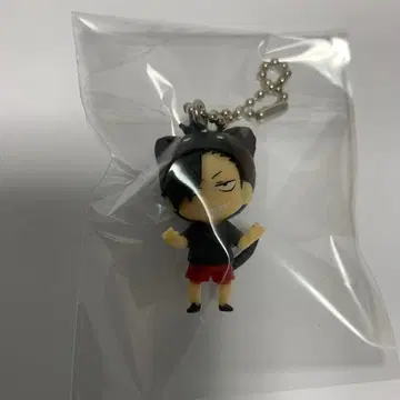 하이큐!! 인형옷 마스코트 쿠로오