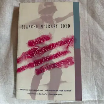 1991 외국도서 The Revolution of Little Girls