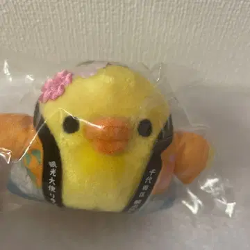 관광대사 취임 5주년 기념 치요다구 외출 봉제 인형 키링 키이로이토리