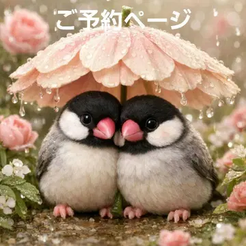 잉꼬, 왕관앵무, 시마연가 패널 원단 핸드메이드