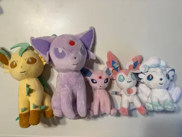 포켓몬 부스터 계열 알로라 식스테일 봉제 인형 세트