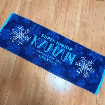 슈퍼주니어 규현 ONE VOICE 머플러 타월