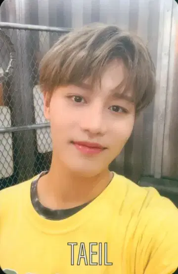 NCT 127 FC 한정판 TAEIL LOVEHOLIC C