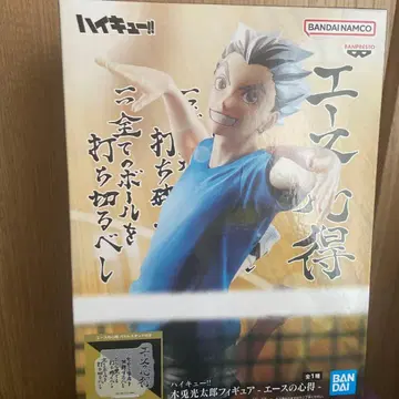 하이큐!! 보쿠토 코타로 피규어 -에이스의 수련-