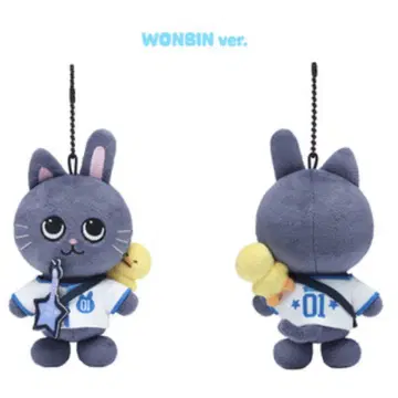 2025 WE LITTLE RIIZE KEYRING WONBIN 토냥덕 | 인형/피규어 | 번개