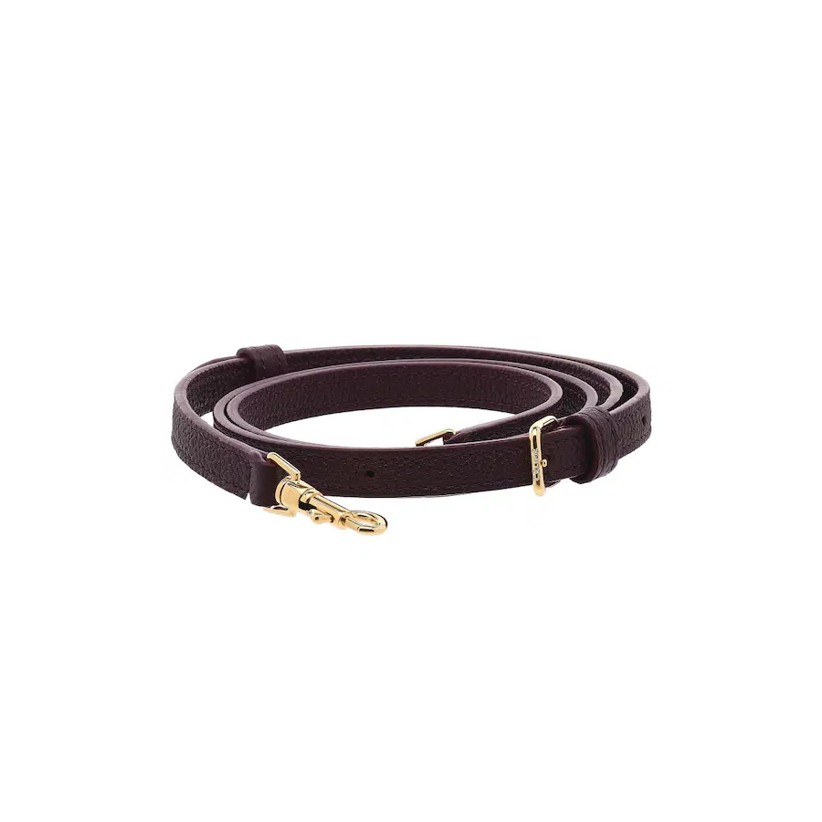 Celine Teen Lulu包