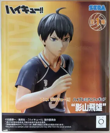 세가 하이 프리미엄 피규어 하이큐!! 카게야마 토비오