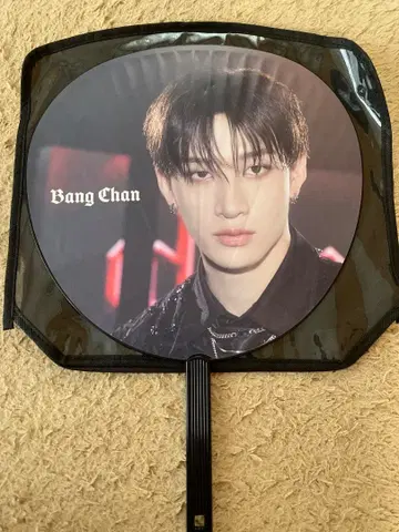 straykids SKZ 부채 Bang Chan