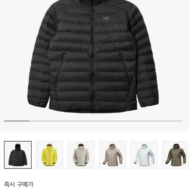 아크테릭스 세륨 후디 블랙 s
