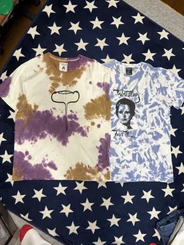 새상품급 TACOMA FUJI RECORDS 타이다이T셔츠 2장 세트